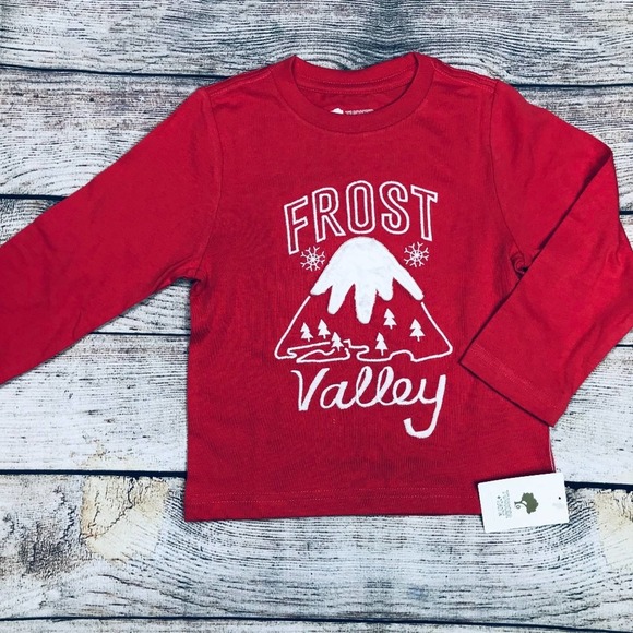 Tucker + Tate Other - NWT Tucker&Tate Frost Valley Tee size 2T